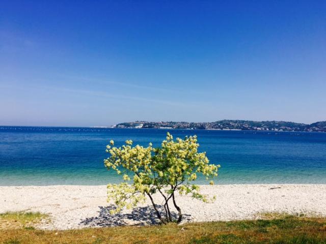 Apartment Umag Nelly 外观 照片