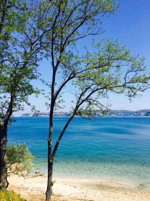 Apartment Umag Nelly 外观 照片