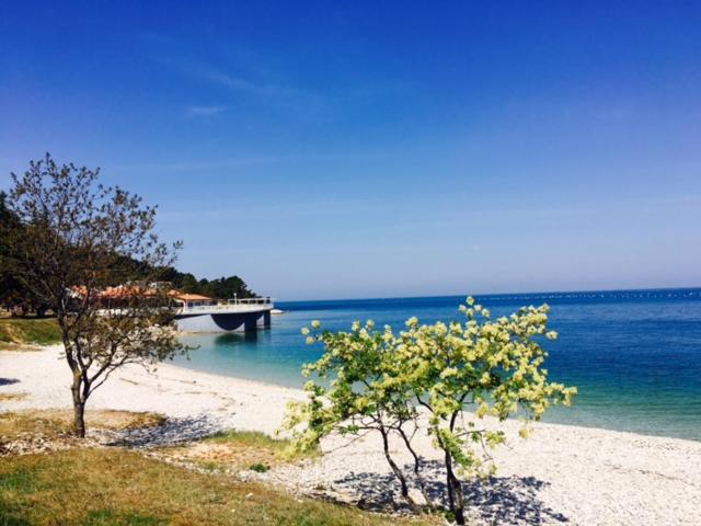 Apartment Umag Nelly 外观 照片