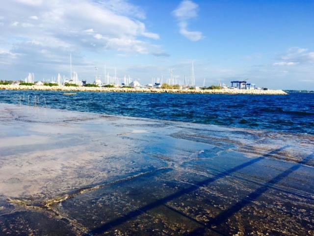 Apartment Umag Nelly 外观 照片