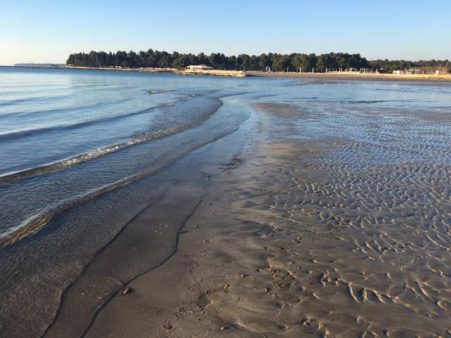 Apartment Umag Nelly 外观 照片